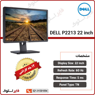 DELL-P2213-22-inch